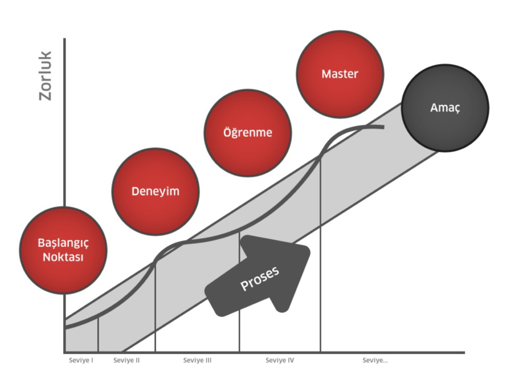 akış kuramı modeli