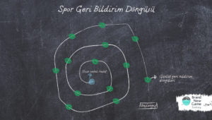 spiral geri bildirim döngüsü